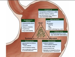 Read more about the article AGA Clinical Practice Update